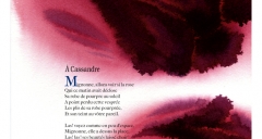 'A Cassandre' de Pierre de Ronsard accompagné d'un détail de l'aquarelle de Christophe Vigouroux